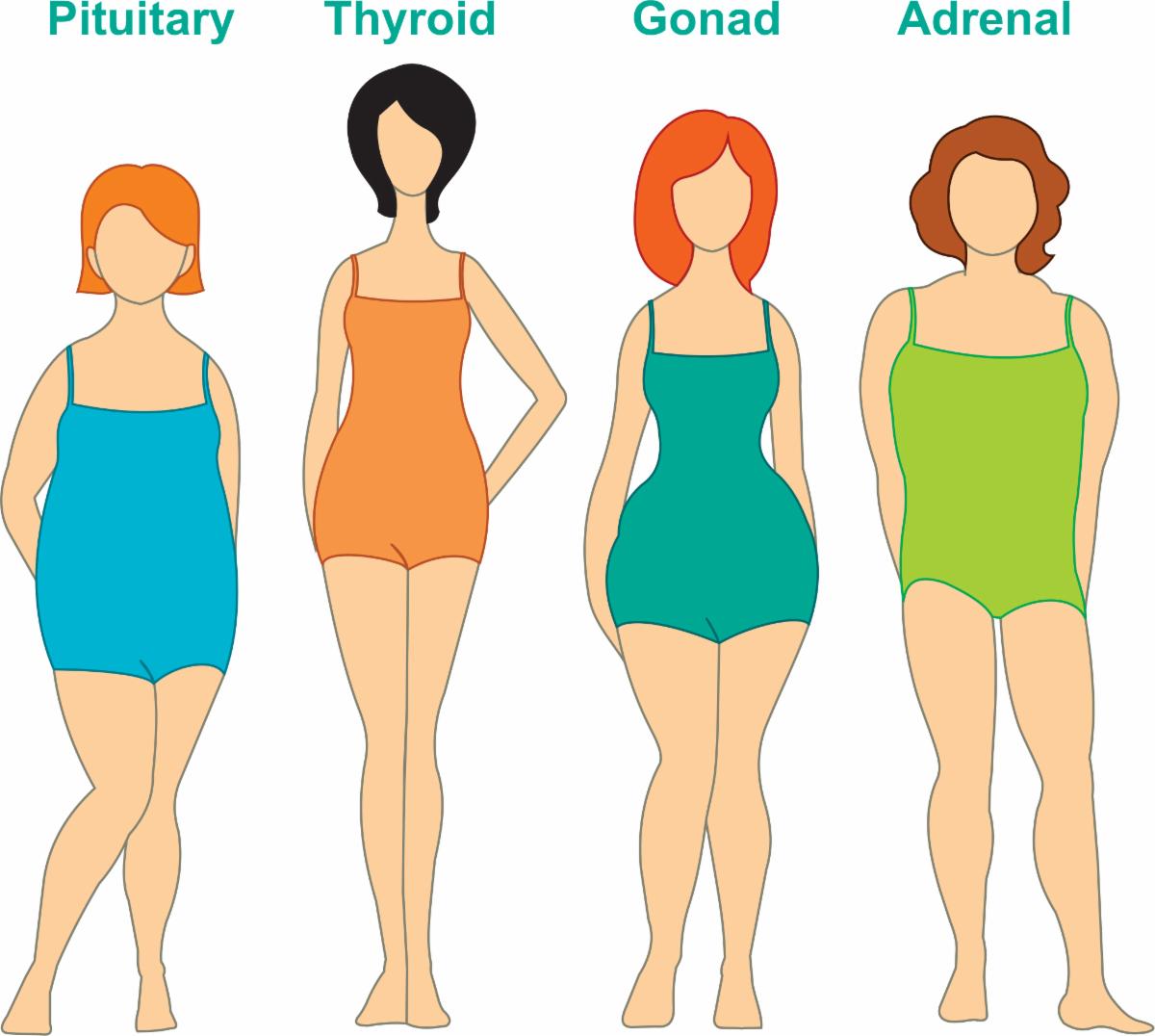 Contrasting Body Types